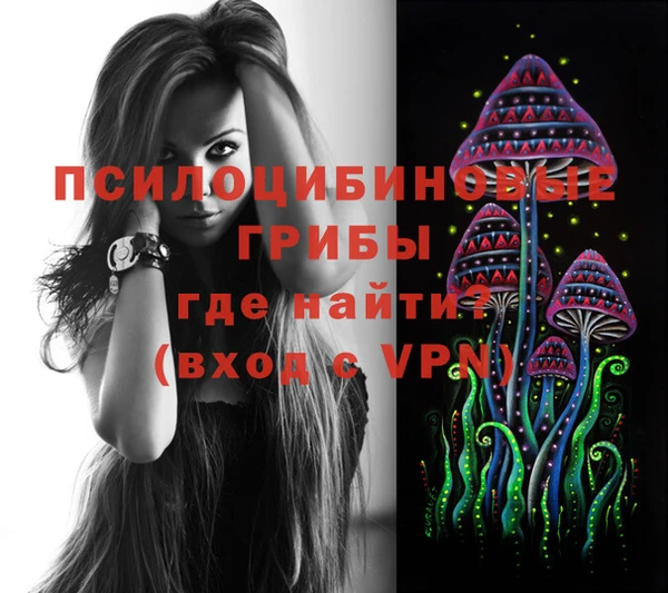 spice Бронницы