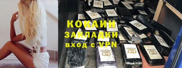 твердый Бородино