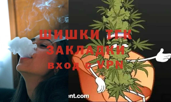 твердый Бородино
