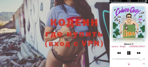 твердый Бородино