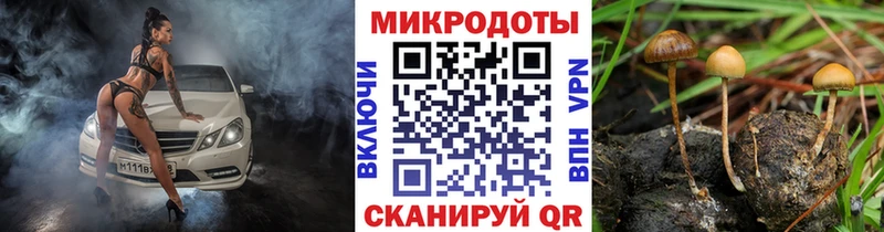 Псилоцибиновые грибы прущие грибы  Мезень 