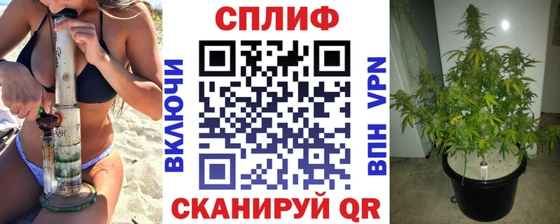 Бошки марихуана конопля Мезень